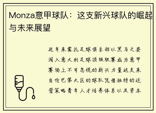 Monza意甲球队：这支新兴球队的崛起与未来展望
