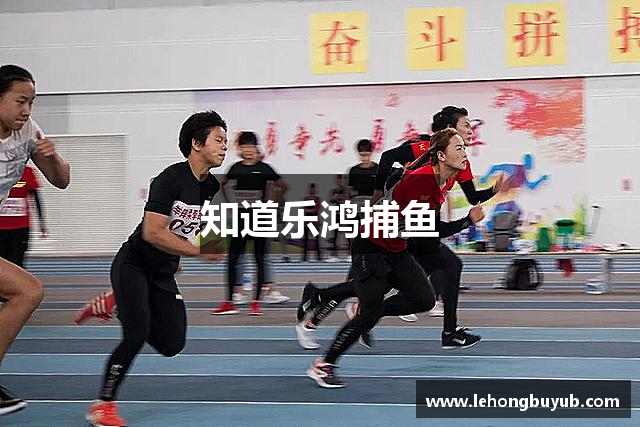 知道乐鸿捕鱼